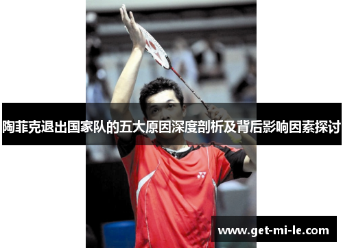 陶菲克退出国家队的五大原因深度剖析及背后影响因素探讨