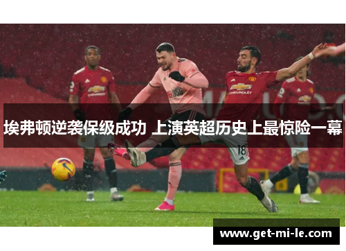 埃弗顿逆袭保级成功 上演英超历史上最惊险一幕