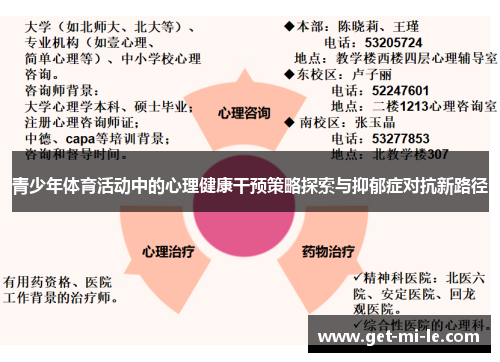 青少年体育活动中的心理健康干预策略探索与抑郁症对抗新路径 青少年体育活动中的心理健康干预策略探索与抑郁症对抗新路径